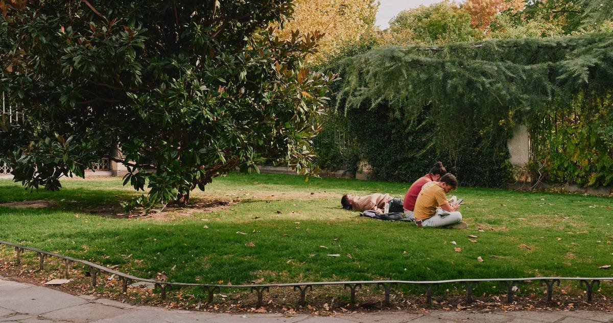 Person relaxing on grass in a park.